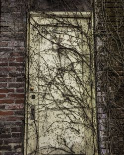 Bare tree against old building