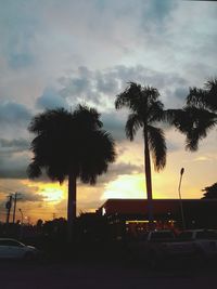 Silhouette of palm trees at sunset