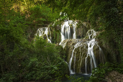 Scenic view of waterfall in forest