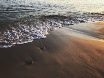 High angle view of water on beach