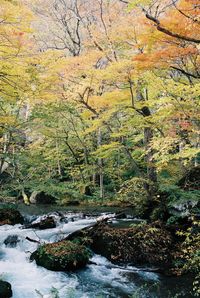 Stream flowing through rocks in forest during autumn