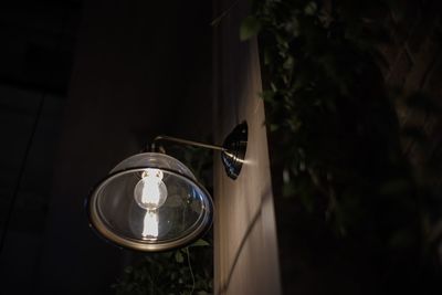 Close-up of light bulb hanging from tree