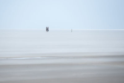 Man and woman walking at beach