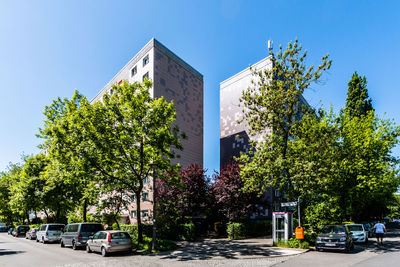 Trees by road against buildings in city