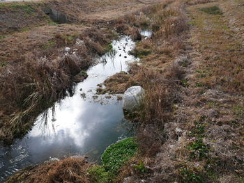 High angle view of turtle on landscape