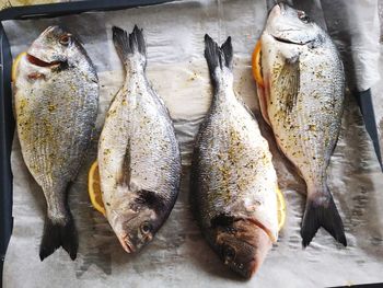 High angle view of fish for sale in market