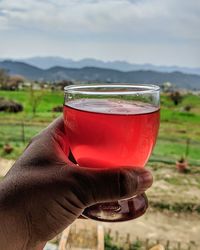 Close-up of hand holding red drink against sky