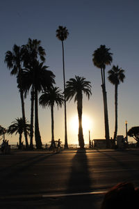 Silhouette palm trees at beach against clear sky