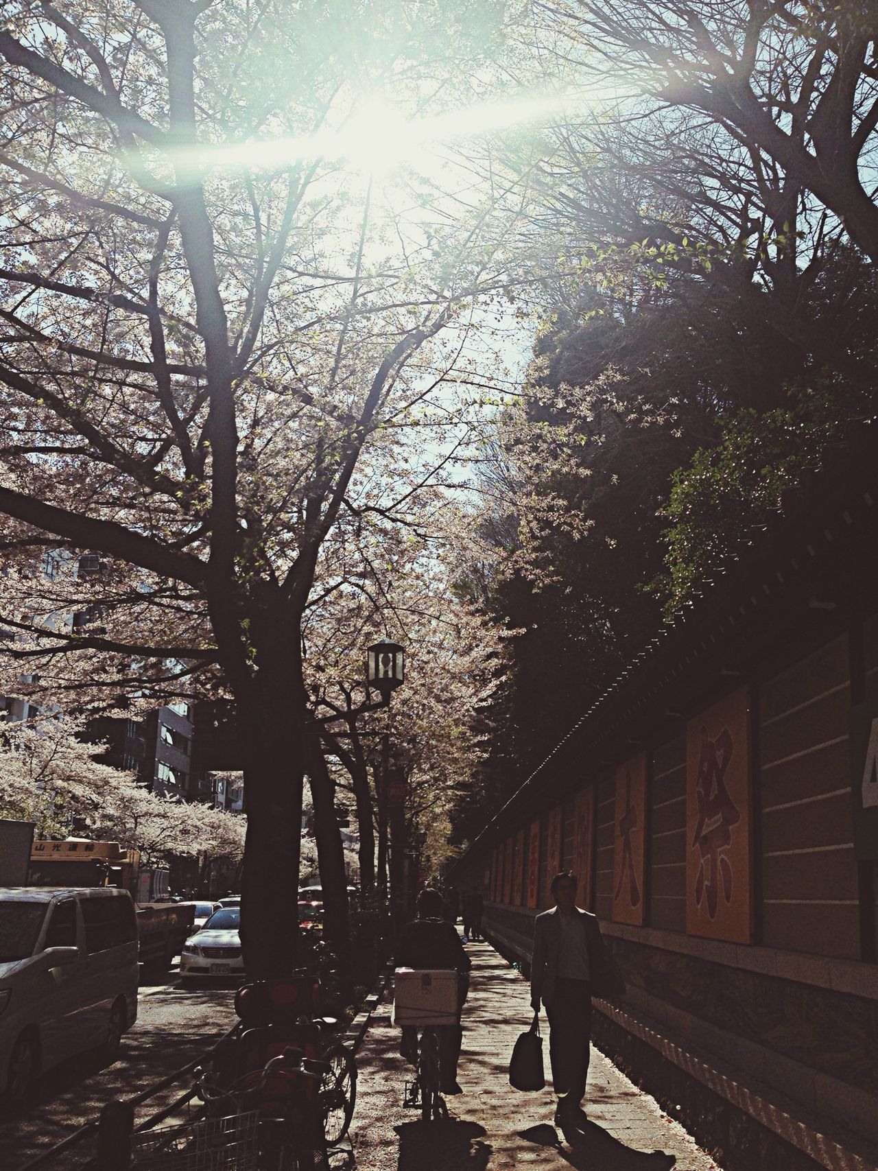 靖国神社 南門 (Yasukuni Jinja South Gate)