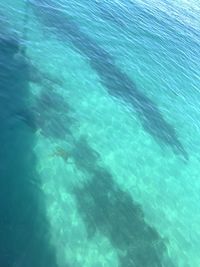 High angle view of swimming pool in sea