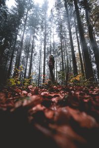 Woman standing amidst trees in forest