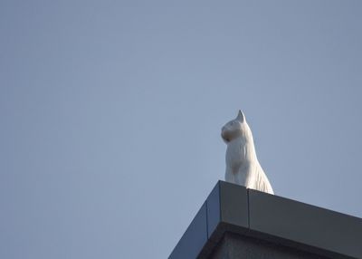 Low angle view of bird perching on building against sky