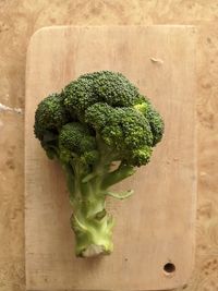 High angle view of chopped vegetables on table