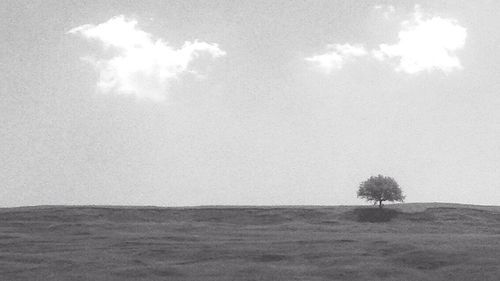 Scenic view of landscape against cloudy sky