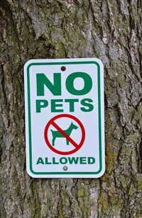 Close-up of warning sign on tree trunk