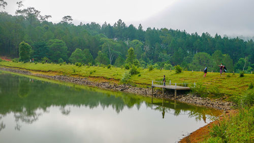 Scenic view of lake by trees against sky