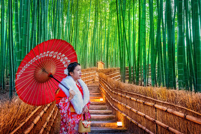 Woman with umbrella standing against bamboo plants
