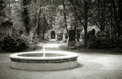 Fountain against trees