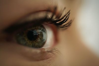 Cropped image of young woman eye