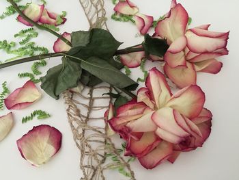 Directly above shot of dry roses on table