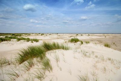 Scenic view of beach