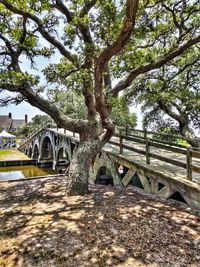 Arch bridge against trees