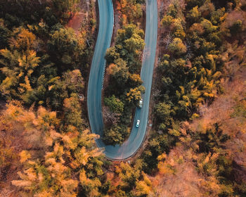 High angle view of trees in forest during autumn