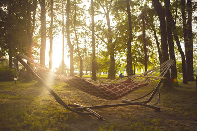 Empty hammock in park