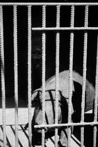 Full frame of a cage
