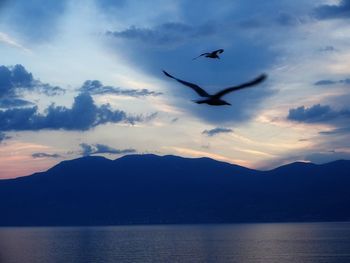 Silhouette birds flying over mountain against sky