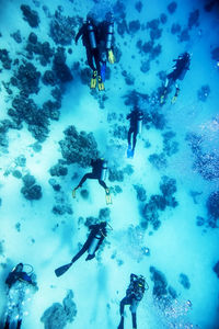 High angle view of divers swimming in sea