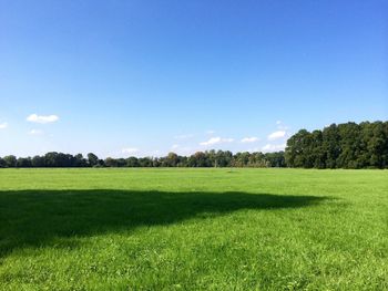 Trees on grassy field against cloudy sky