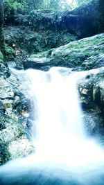Scenic view of waterfall in forest