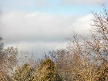 Scenic view of landscape against cloudy sky