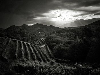 Scenic view of landscape against cloudy sky