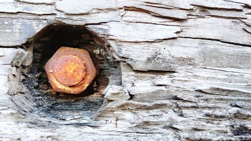 Full frame shot of rusty metal