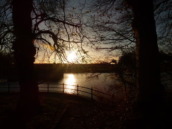 Silhouette trees by lake against sky during sunset