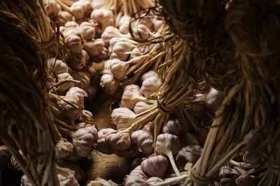 Full frame shot of dried plant