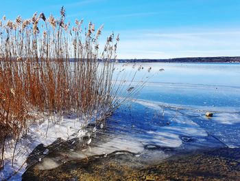 Scenic view of frozen sea against sky