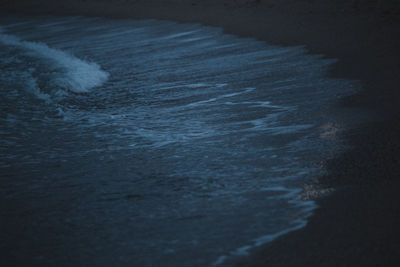 Close-up of swimming in sea