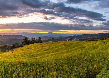 Scenic view of field against sky during sunset