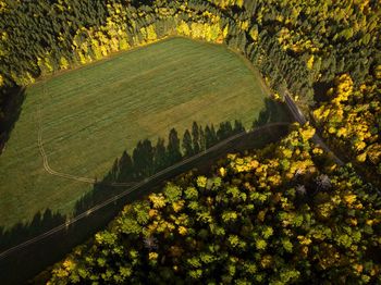 High angle view of agricultural field