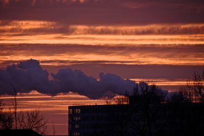 Silhouette of trees at sunset