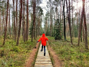 Rear view of child walking on footpath in forest