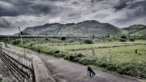 Road leading towards mountains against cloudy sky