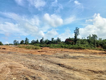 Trees on field against sky