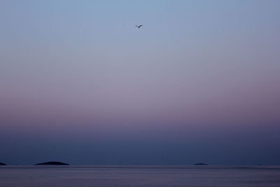 Bird flying over sea against clear sky