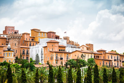 Palm trees and buildings in city against sky