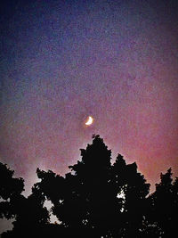 Low angle view of silhouette trees against sky at night