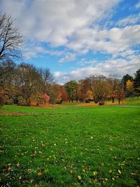 Trees on field against sky during autumn